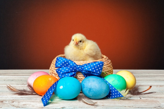 pollito con huevos de pascua en mesa de madera