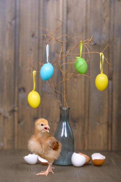 Pollito de Pascua y decoración
