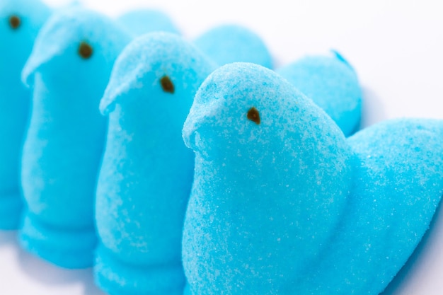 Pollitos de malvavisco para Pascua sobre un fondo blanco.