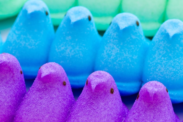 Pollitos de malvavisco para Pascua sobre un fondo blanco.