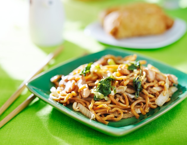 Pollo chino lo mein en un plato