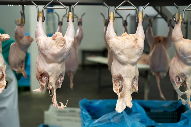 Pollo colgado de un gancho en una tienda