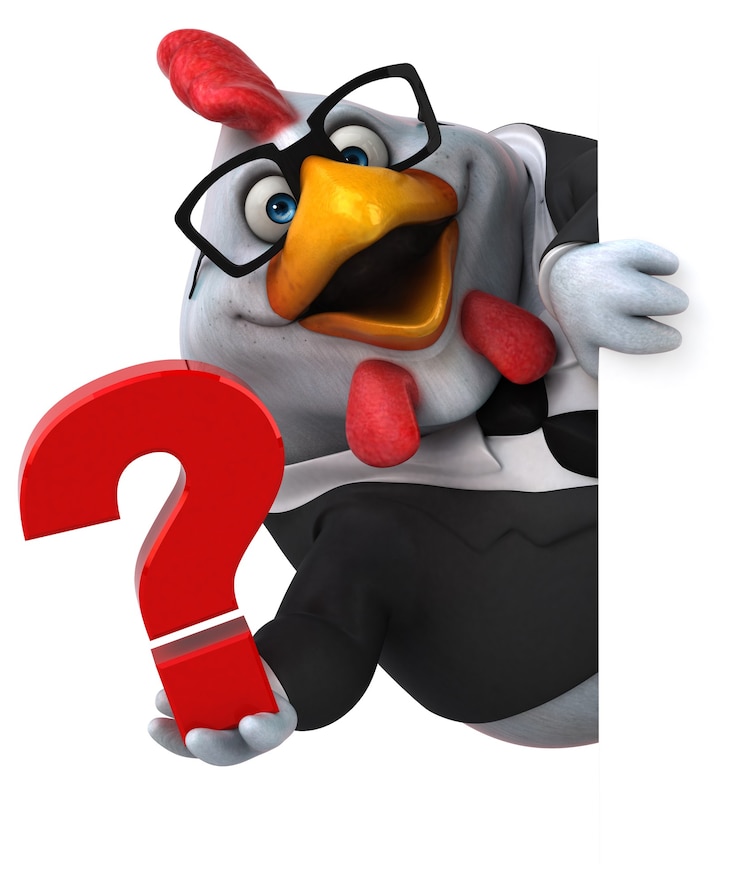 Foto pollo divertido - ilustración 3d