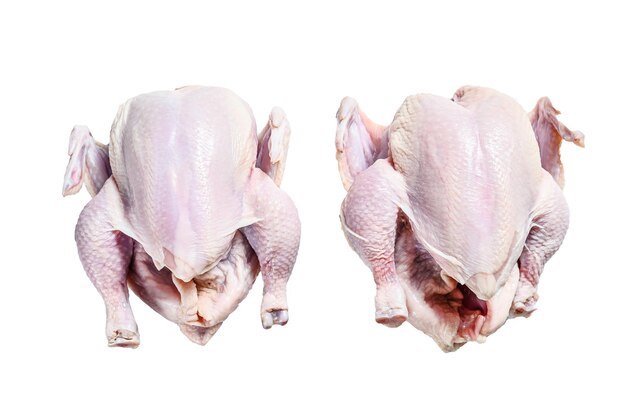 Pollo entero crudo de granja orgánica aislado sobre fondo blanco