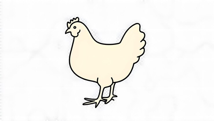 pollo con fondo blanco