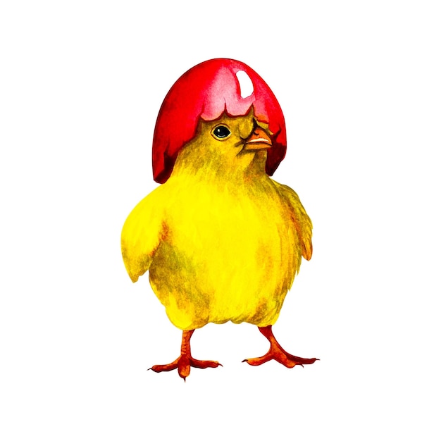 Pollo de Pascua con una cáscara de huevo en la cabeza. Ilustración de acuarela.