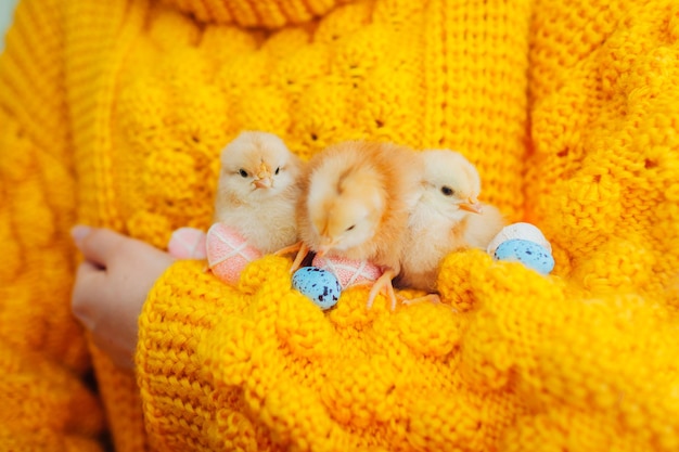 Pollo de Pascua. Mujer sosteniendo tres pollitos naranjas en la mano rodeados de coloridos huevos de Pascua.