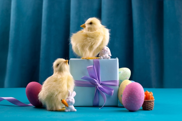 Pollos de color amarillo brillante con huevos de pascua y caja de regalo contra la cortina de color azul profundo. Naturaleza muerta de luz dura de moda.