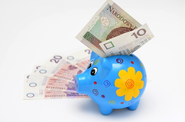 Polnisches Geld und ein Sparschwein auf hellem Hintergrund
