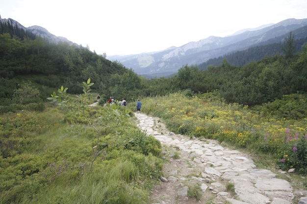 Polonia Montañas Tatra