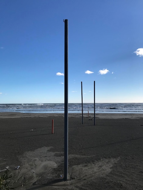 Foto polos en la playa contra el cielo