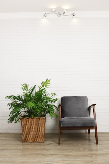 Foto poltrona confortável e bela planta de casa