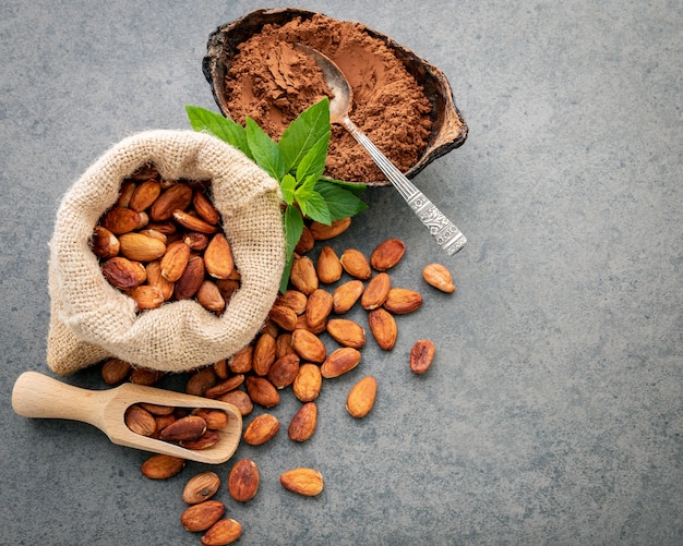 Polvo de cacao y habas del cacao en el fondo de piedra.