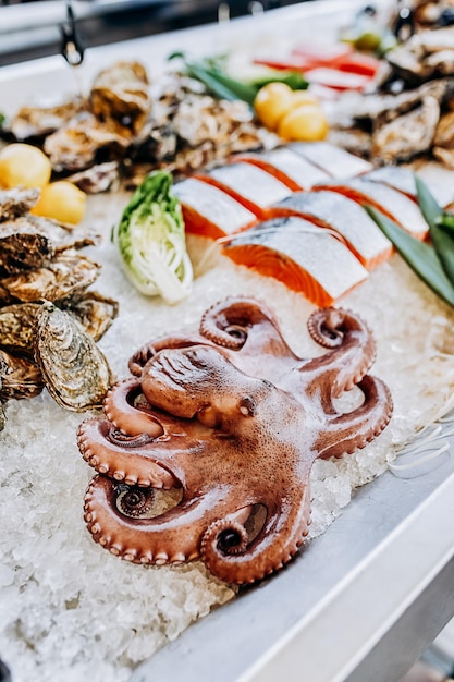 Polvo fresco e pedaço de salmão no gelo na peixaria Octopus para venda