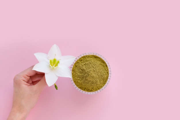 polvo de henna natural y flor blanca en una mano femenina sobre un fondo rosa. Concepto de belleza femenina y cosmetología. Coloración de cejas y cabello.