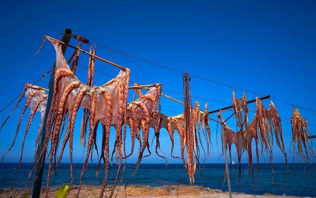 Polvo seco seco no mar mediterrâneo