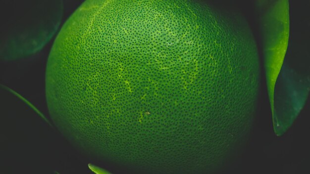 Foto el pomelo verde