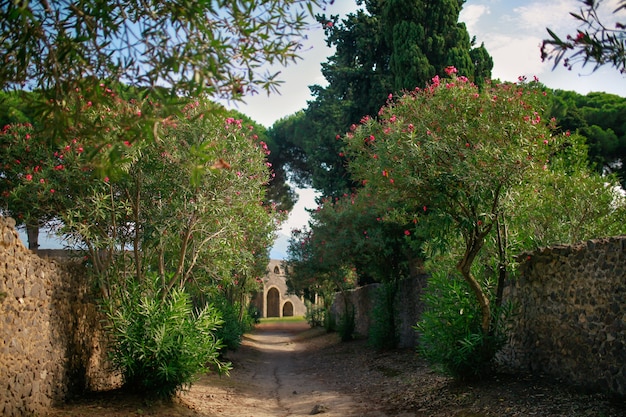 Foto pompei