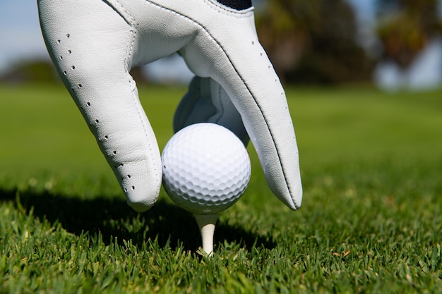 Poner la pelota de golf en el tee en el campo de golf de la mano. Pelota de golf en la hierba.