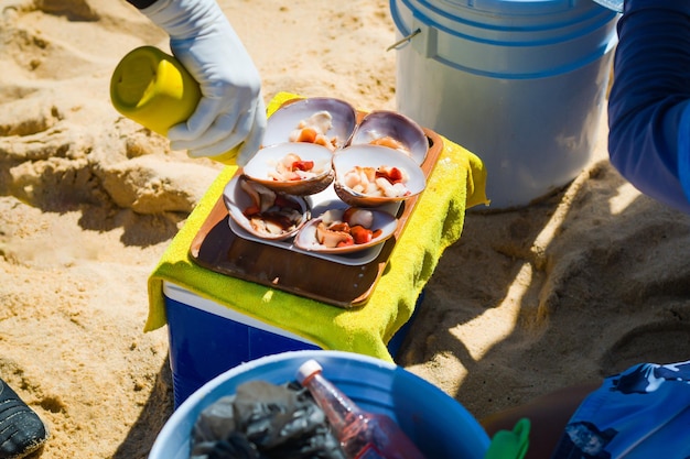 Poner salsas a las finas conchas de Málaga preparadas artesanalmente en el mar