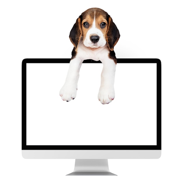 Pong de cachorro en la pegatina de la computadora elemento de collage lindo fondo transparente
