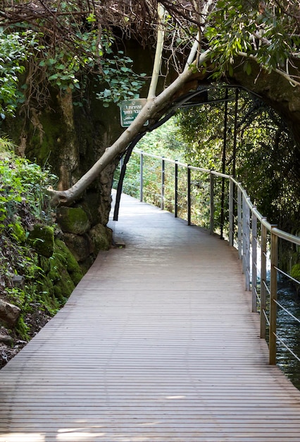 Foto ponte ao longo do rio reserva natural de banias