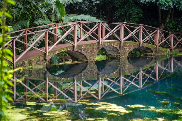 Ponte arqueada em um lago com reflexão tanzânia áfrica passarela sobre uma lagoa