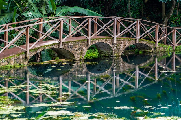 Ponte arqueada em um lago com reflexão, Tanzânia, África. Passarela sobre uma lagoa