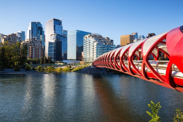 Ponte da paz em Bow River durante um nascer do sol de verão vibrante