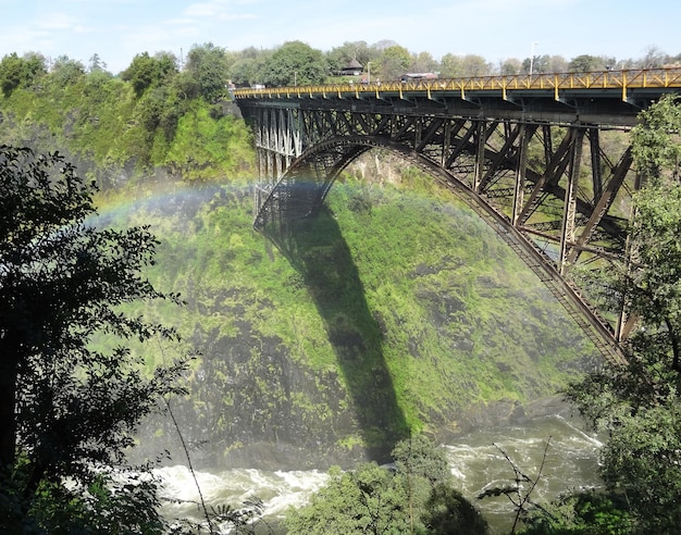 Foto ponte das cataratas vitória