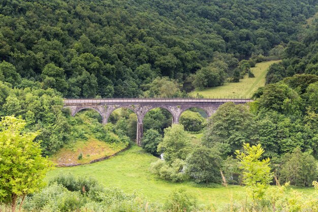 Foto ponte de arco no meio das árvores na floresta