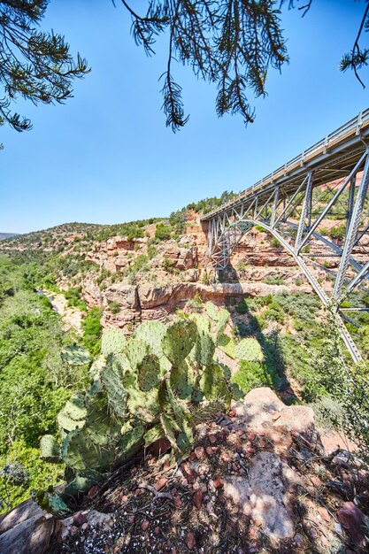 Ponte de armadura de aço sobre o desfiladeiro com cactos Paisagem do Arizona