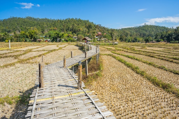 Ponte de bambu longo em pai, tailândia