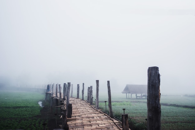 Ponte de bambu sobre o campo vegetal entre a névoa na zona rural da tailândia