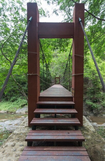 Ponte de corda de fio