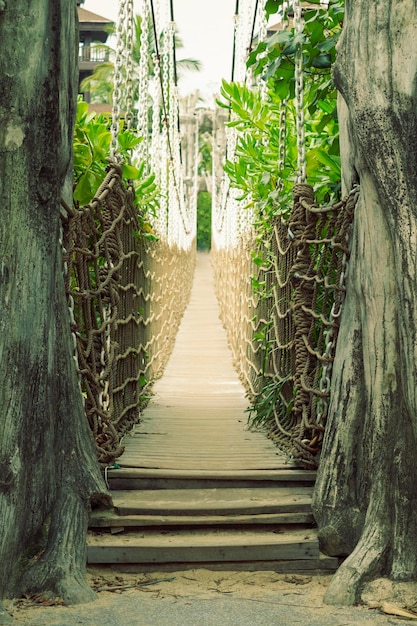 Foto ponte de corda de madeira