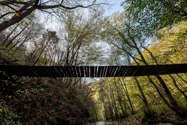 Ponte de corda no rio na floresta de outono, de baixo, ponte suspensa,