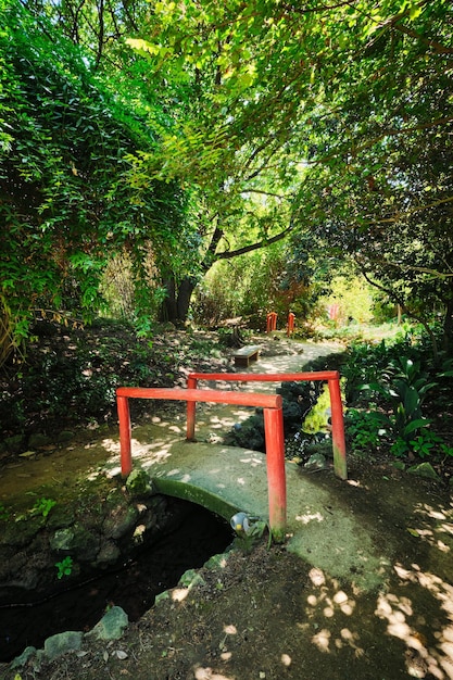 Ponte de estilo chinês na parte asiática do jardim botânico tropical em Lisboa, Portugal