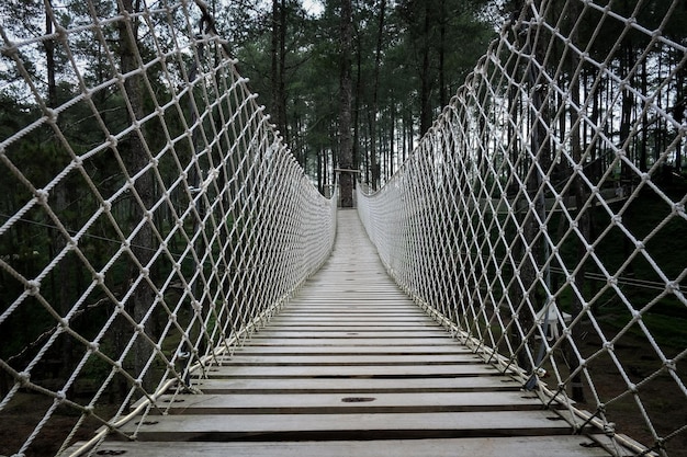 Foto ponte de madeira com corda presa