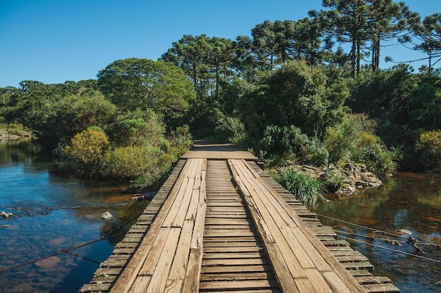 Foto ponte de madeira e floresta no parque nacional aparados da serra, perto de cambara do sul, brasil