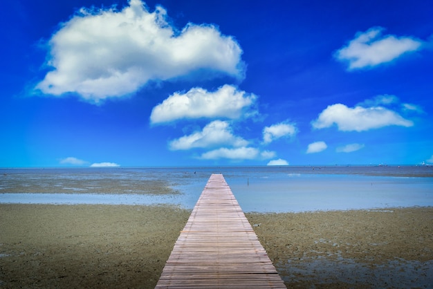 Ponte de madeira em floresta de mangue com fundo de céu azul.