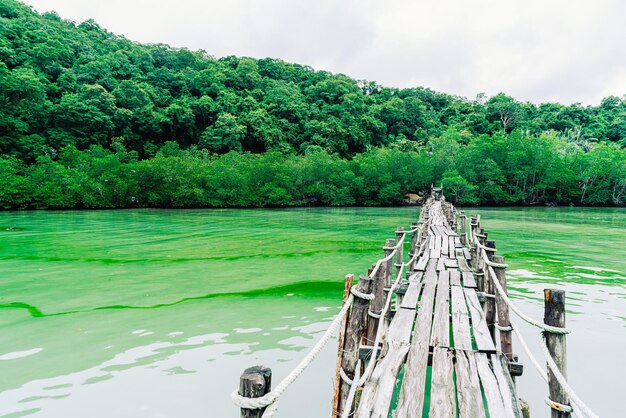 ponte de madeira em Talet Bay em Khanom, Nakhon Sri Thammarat, ponto de referência turístico de viagens na Tailândia