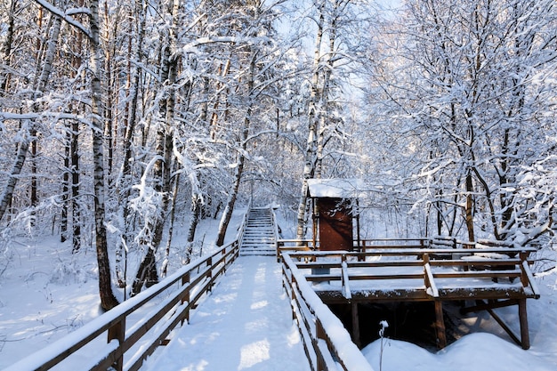Ponte de madeira em uma floresta de inverno gelada e cheia de neve