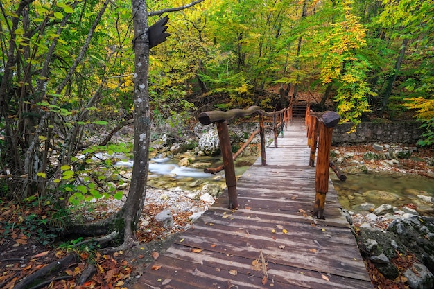 Ponte de madeira na floresta de outono. Cruzando o pequeno rio para o Grand Canyon da Crimeia