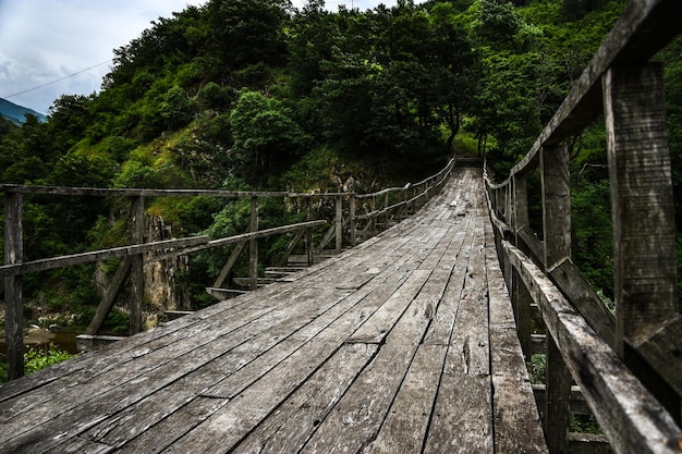 Foto ponte de madeira no meio de árvores na floresta