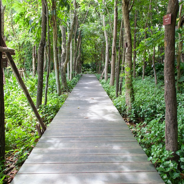 Ponte de madeira no parque