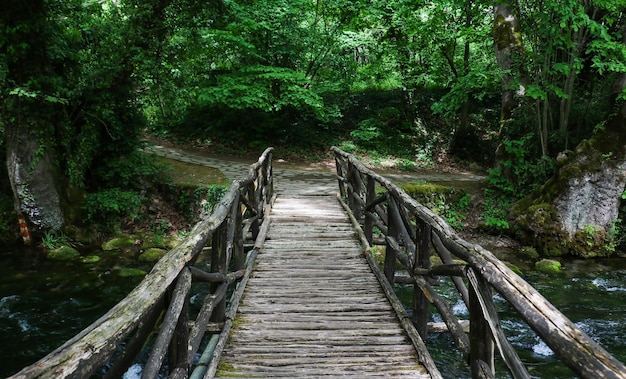 Ponte de madeira no parque