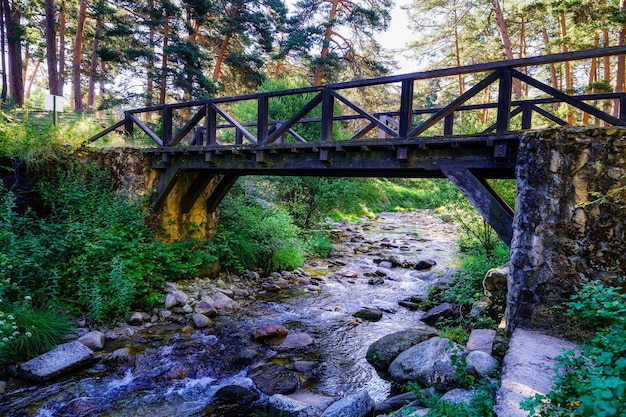 Ponte de madeira sobre o córrego da floresta ao nascer do sol. navacerrada.