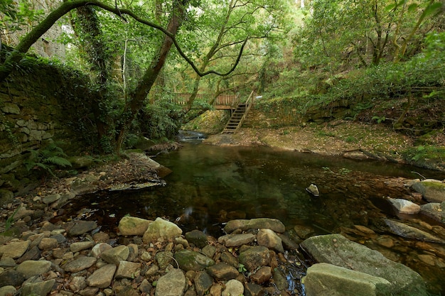 Ponte de madeira sobre um pequeno rio