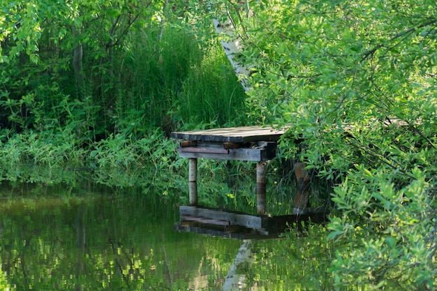 Ponte de madeira velha sobre a lagoa.